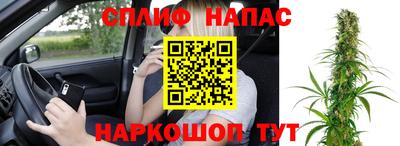 сатива Ливны